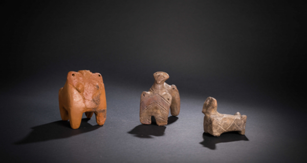 ARCHAEOLOGICAL COLLECTION